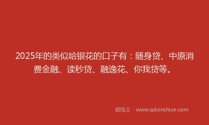 2025年的类似哈银花的口子有：随身贷、中原消费金融、读秒贷、融逸花、你我贷等。