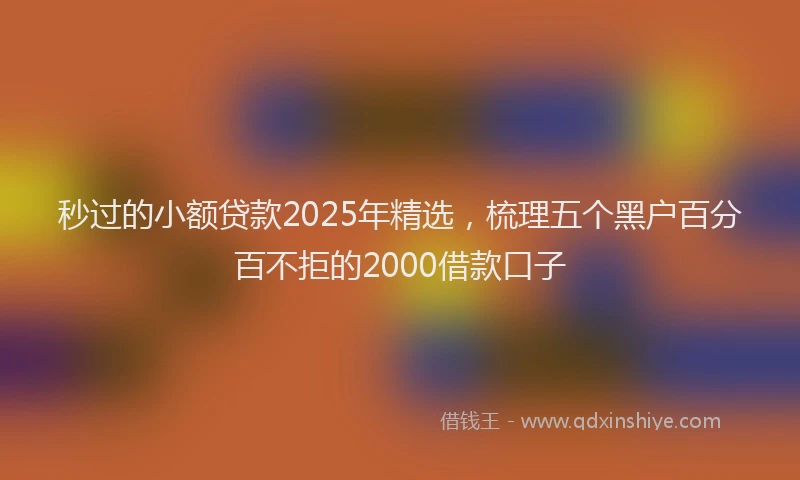 秒过的小额贷款2025年精选，梳理五个黑户百分百不拒的2000借款口子