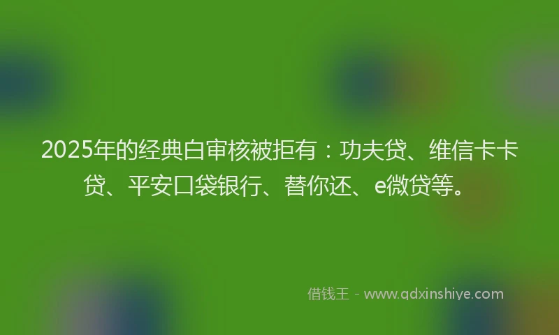 2025年的经典白审核被拒有：功夫贷、维信卡卡贷、平安口袋银行、替你还、e微贷等。