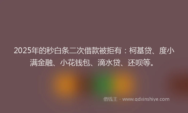 2025年的秒白条二次借款被拒有：柯基贷、度小满金融、小花钱包、滴水贷、还呗等。
