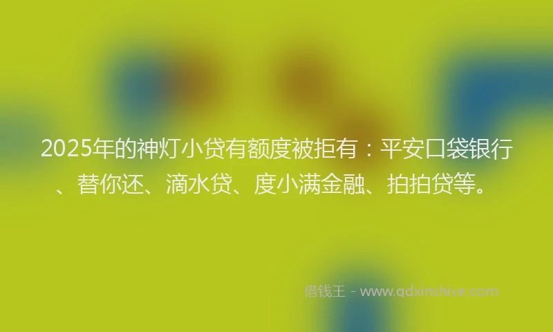 2025年的神灯小贷有额度被拒有：平安口袋银行、替你还、滴水贷、度小满金融、拍拍贷等。