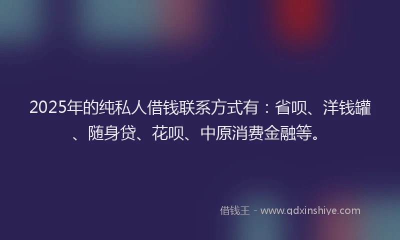 2025年的纯私人借钱联系方式有：省呗、洋钱罐、随身贷、花呗、中原消费金融等。