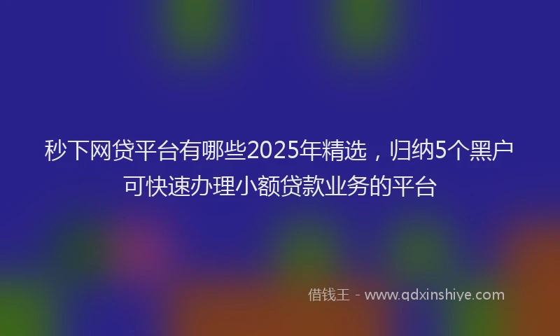 秒下网贷平台有哪些2025年精选，归纳5个黑户可快速办理小额贷款业务的平台