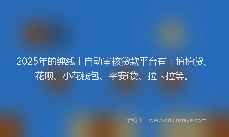 2025年的纯线上自动审核贷款平台有：拍拍贷、花呗、小花钱包、平安i贷、拉卡拉等。