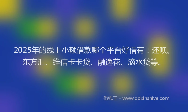 2025年的线上小额借款哪个平台好借有：还呗、东方汇、维信卡卡贷、融逸花、滴水贷等。