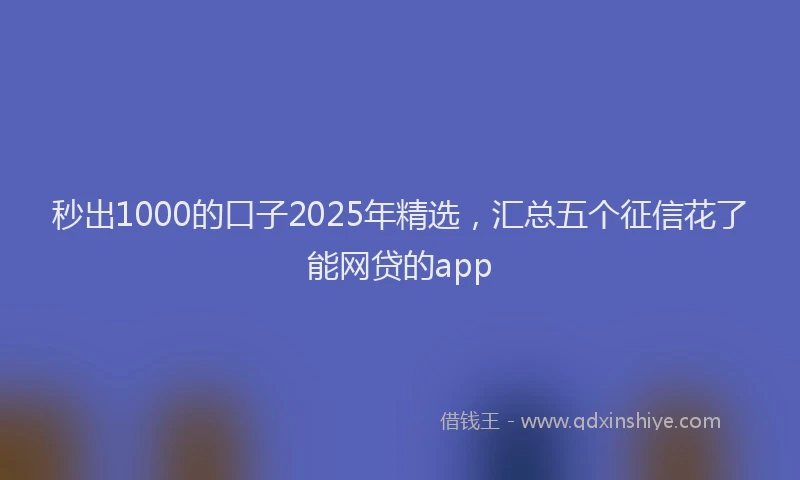 秒出1000的口子2025年精选，汇总五个征信花了能网贷的app