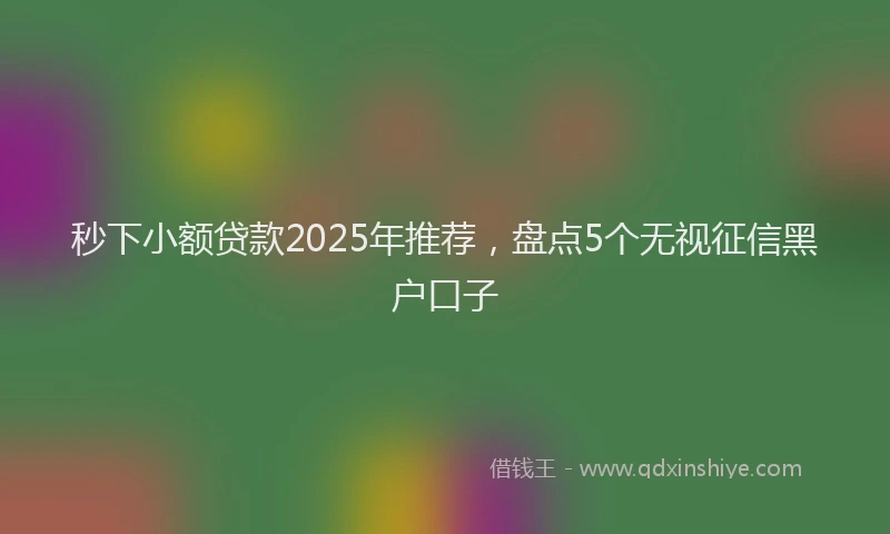 秒下小额贷款2025年推荐，盘点5个无视征信黑户口子