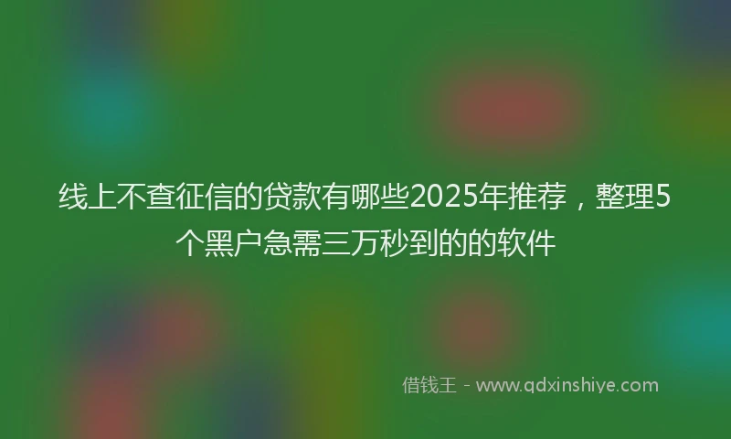 线上不查征信的贷款有哪些2025年推荐，整理5个黑户急需三万秒到的的软件