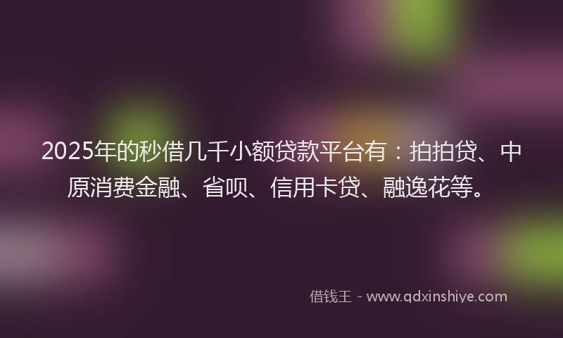 2025年的秒借几千小额贷款平台有：拍拍贷、中原消费金融、省呗、信用卡贷、融逸花等。