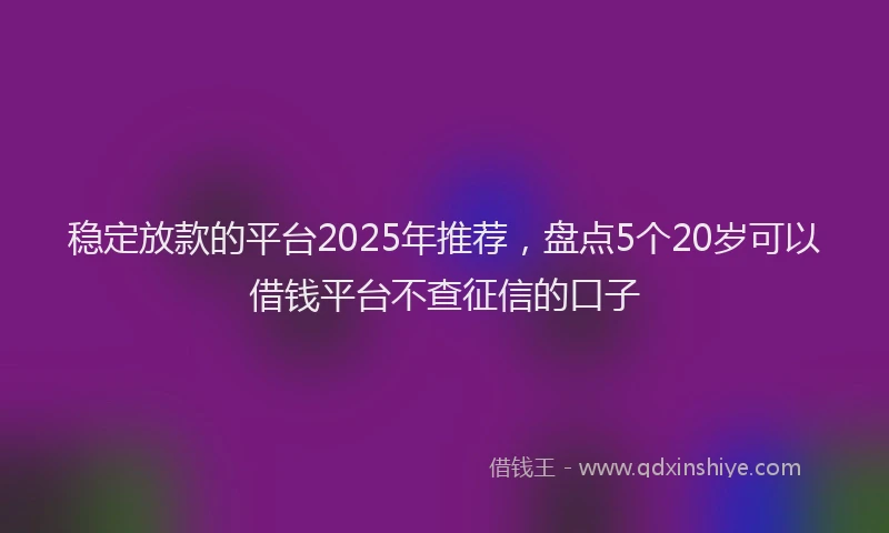 稳定放款的平台2025年推荐，盘点5个20岁可以借钱平台不查征信的口子