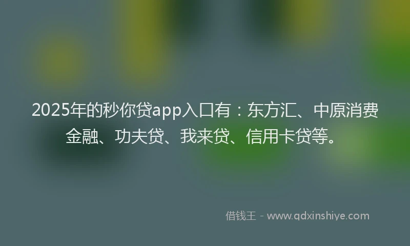 2025年的秒你贷app入口有：东方汇、中原消费金融、功夫贷、我来贷、信用卡贷等。