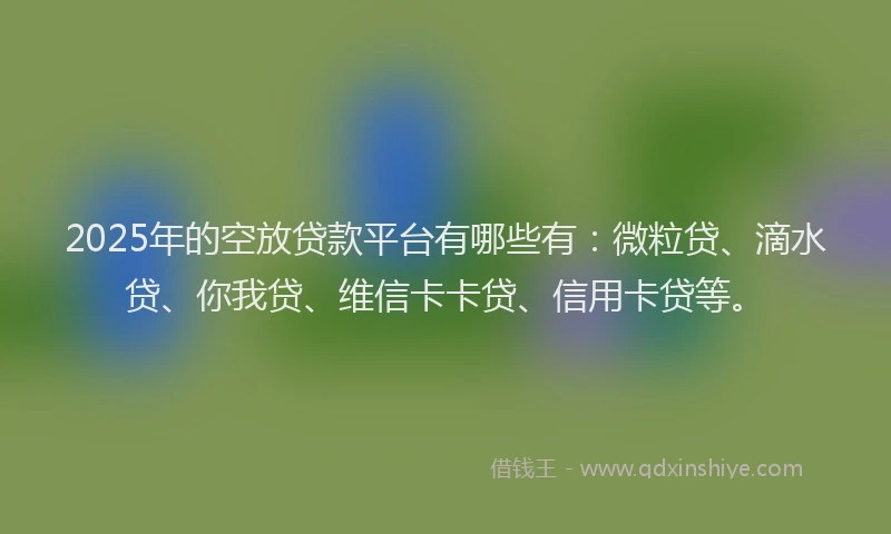 2025年的空放贷款平台有哪些有：微粒贷、滴水贷、你我贷、维信卡卡贷、信用卡贷等。