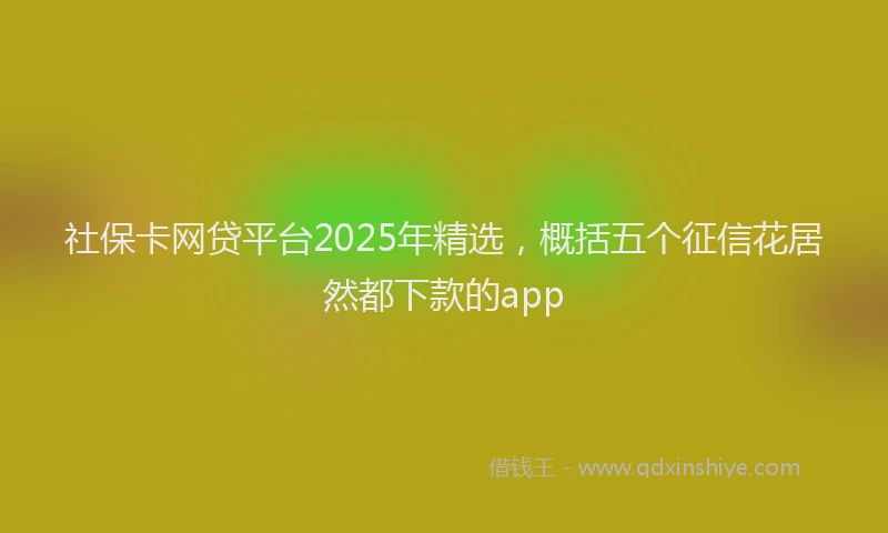 社保卡网贷平台2025年精选，概括五个征信花居然都下款的app