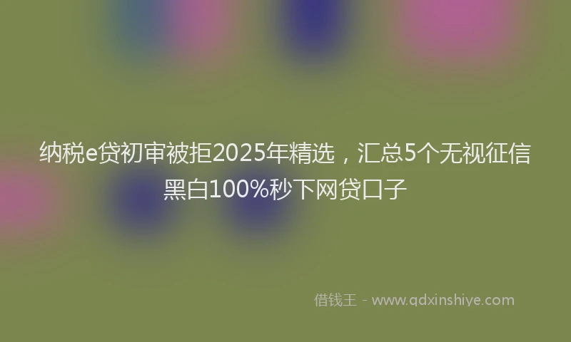 纳税e贷初审被拒2025年精选，汇总5个无视征信黑白100%秒下网贷口子