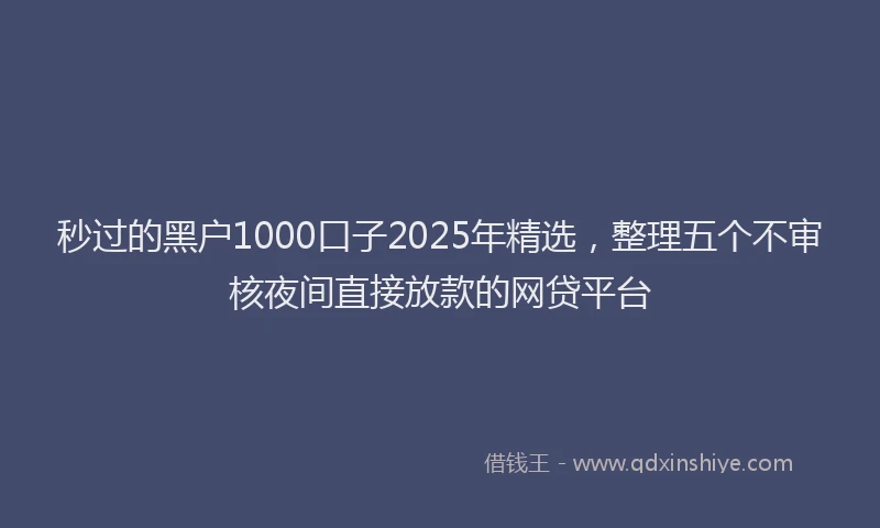 秒过的黑户1000口子2025年精选，整理五个不审核夜间直接放款的网贷平台