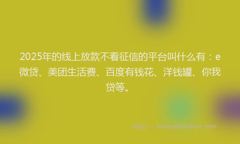 2025年的线上放款不看征信的平台叫什么有：e微贷、美团生活费、百度有钱花、洋钱罐、你我贷等。