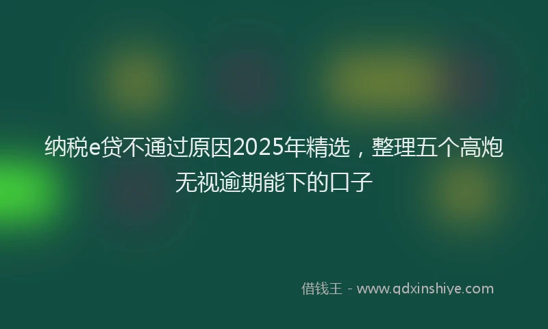 纳税e贷不通过原因2025年精选，整理五个高炮无视逾期能下的口子
