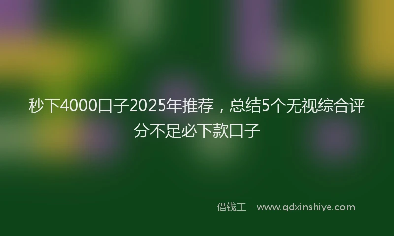 秒下4000口子2025年推荐，总结5个无视综合评分不足必下款口子