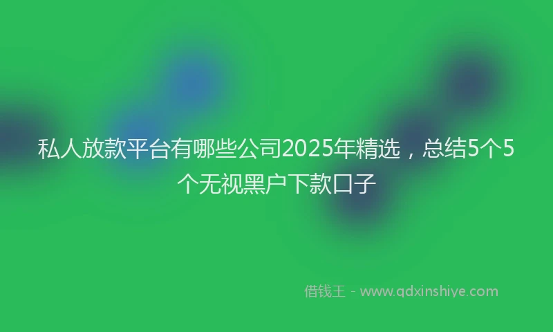 私人放款平台有哪些公司2025年精选，总结5个5个无视黑户下款口子