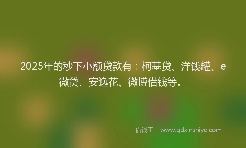 2025年的秒下小额贷款有：柯基贷、洋钱罐、e微贷、安逸花、微博借钱等。