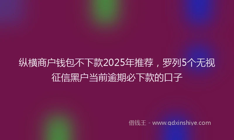 纵横商户钱包不下款2025年推荐，罗列5个无视征信黑户当前逾期必下款的口子