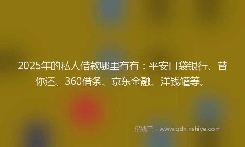 2025年的私人借款哪里有有：平安口袋银行、替你还、360借条、京东金融、洋钱罐等。