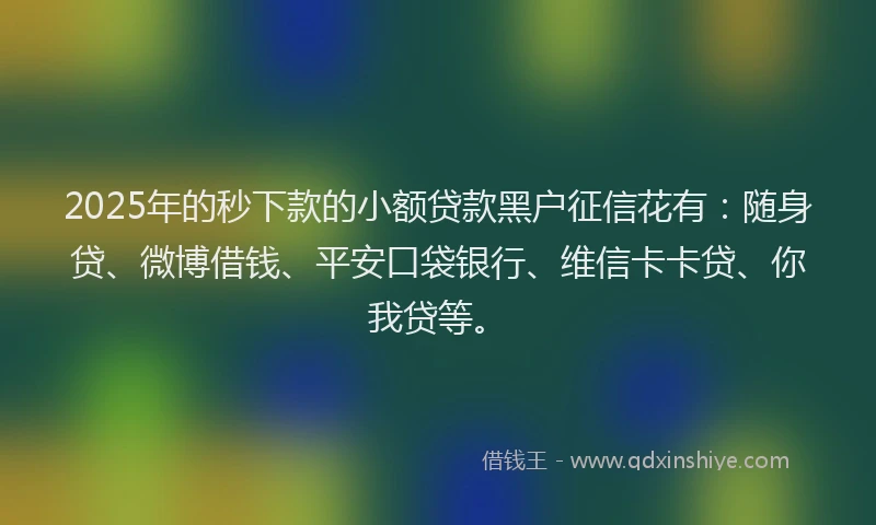 2025年的秒下款的小额贷款黑户征信花有：随身贷、微博借钱、平安口袋银行、维信卡卡贷、你我贷等。