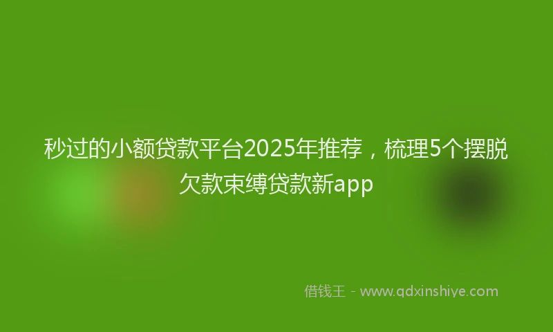 秒过的小额贷款平台2025年推荐，梳理5个摆脱欠款束缚贷款新app