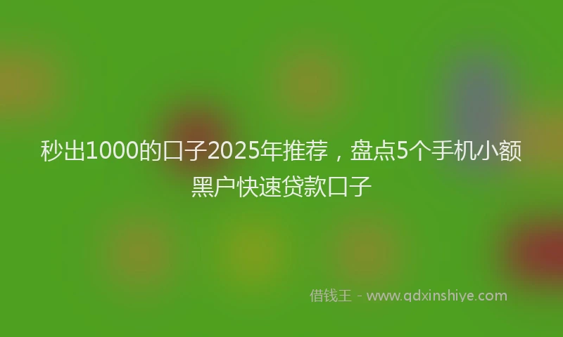 秒出1000的口子2025年推荐，盘点5个手机小额黑户快速贷款口子