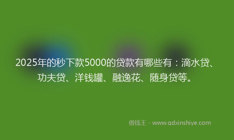2025年的秒下款5000的贷款有哪些有：滴水贷、功夫贷、洋钱罐、融逸花、随身贷等。