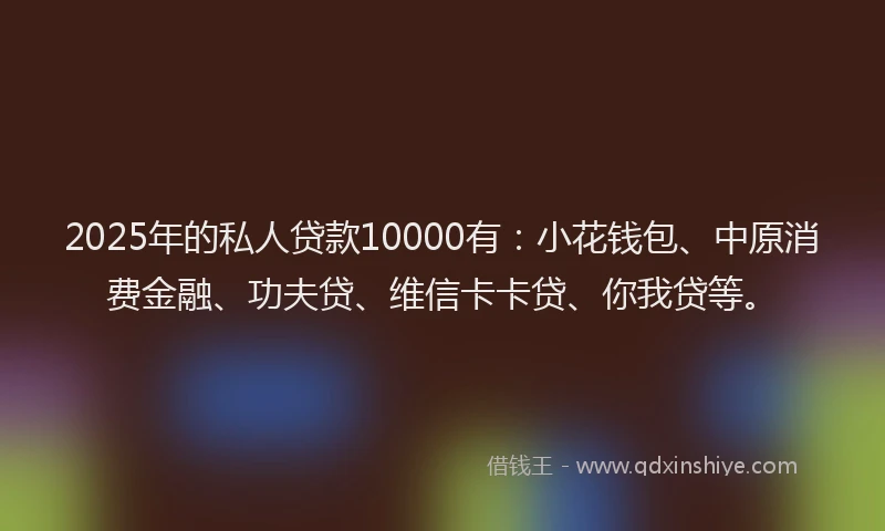 2025年的私人贷款10000有：小花钱包、中原消费金融、功夫贷、维信卡卡贷、你我贷等。