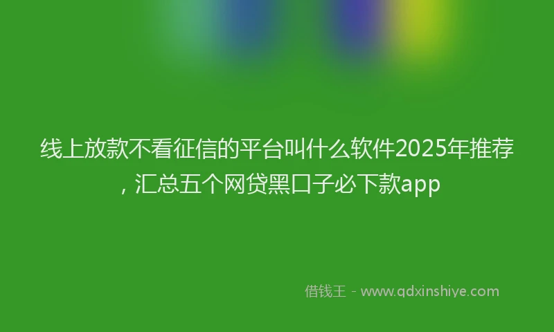 线上放款不看征信的平台叫什么软件2025年推荐，汇总五个网贷黑口子必下款app