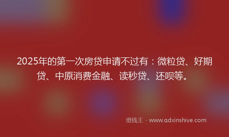 2025年的第一次房贷申请不过有：微粒贷、好期贷、中原消费金融、读秒贷、还呗等。