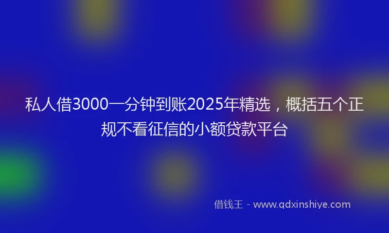 私人借3000一分钟到账2025年精选，概括五个正规不看征信的小额贷款平台