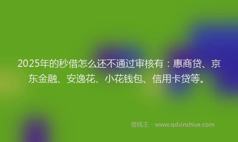 2025年的秒借怎么还不通过审核有：惠商贷、京东金融、安逸花、小花钱包、信用卡贷等。