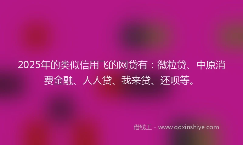 2025年的类似信用飞的网贷有：微粒贷、中原消费金融、人人贷、我来贷、还呗等。
