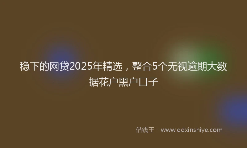 稳下的网贷2025年精选，整合5个无视逾期大数据花户黑户口子