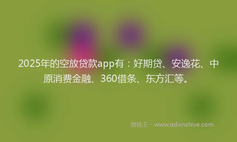 2025年的空放贷款app有：好期贷、安逸花、中原消费金融、360借条、东方汇等。