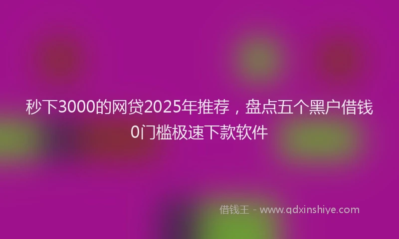 秒下3000的网贷2025年推荐，盘点五个黑户借钱0门槛极速下款软件