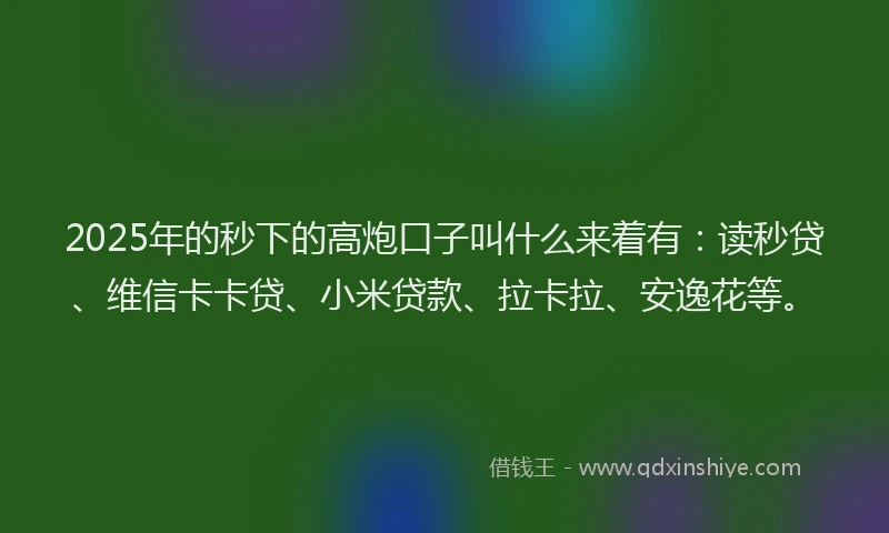 2025年的秒下的高炮口子叫什么来着有：读秒贷、维信卡卡贷、小米贷款、拉卡拉、安逸花等。