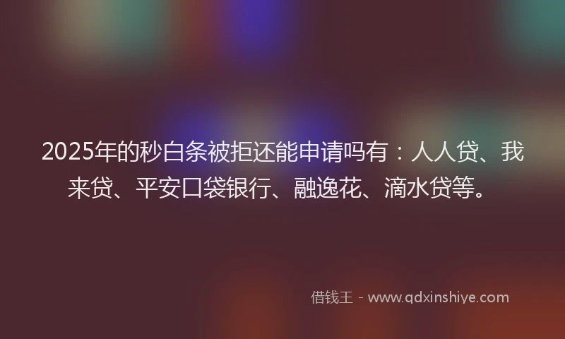 2025年的秒白条被拒还能申请吗有:人人贷、我来贷、平安口袋银行、融逸花、滴水贷等。