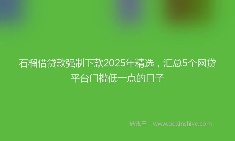石榴借贷款强制下款2025年精选，汇总5个网贷平台门槛低一点的口子