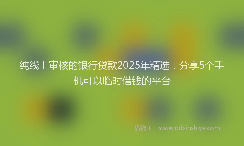 纯线上审核的银行贷款2025年精选，分享5个手机可以临时借钱的平台