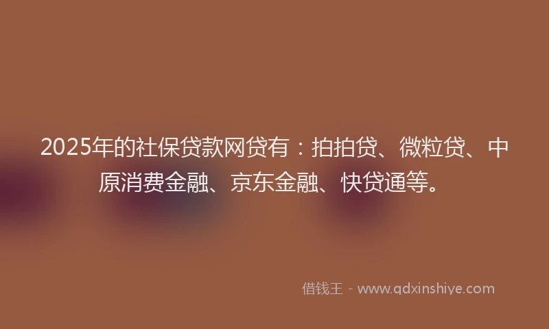 2025年的社保贷款网贷有：拍拍贷、微粒贷、中原消费金融、京东金融、快贷通等。