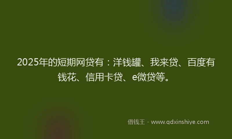 2025年的短期网贷有：洋钱罐、我来贷、百度有钱花、信用卡贷、e微贷等。