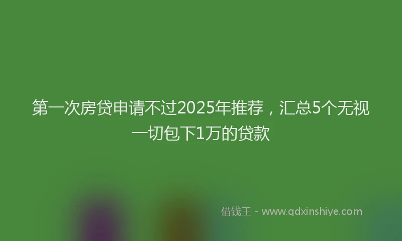 第一次房贷申请不过2025年推荐，汇总5个无视一切包下1万的贷款