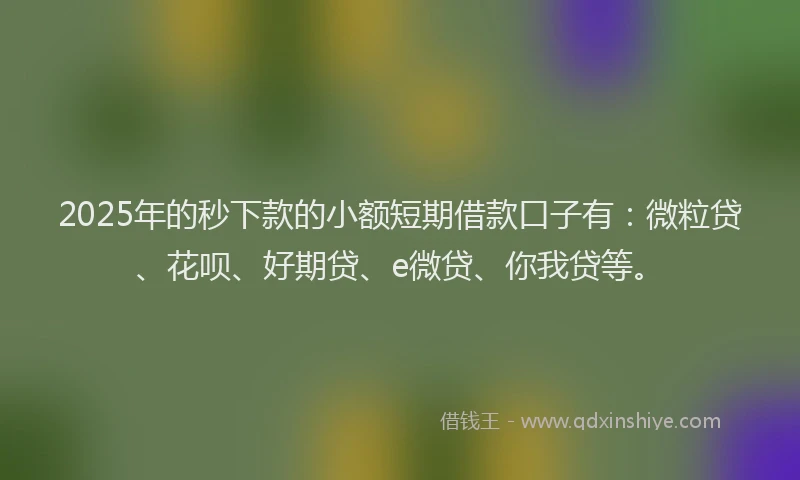 2025年的秒下款的小额短期借款口子有：微粒贷、花呗、好期贷、e微贷、你我贷等。