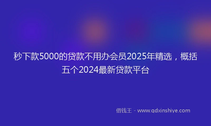 秒下款5000的贷款不用办会员2025年精选，概括五个2024最新贷款平台