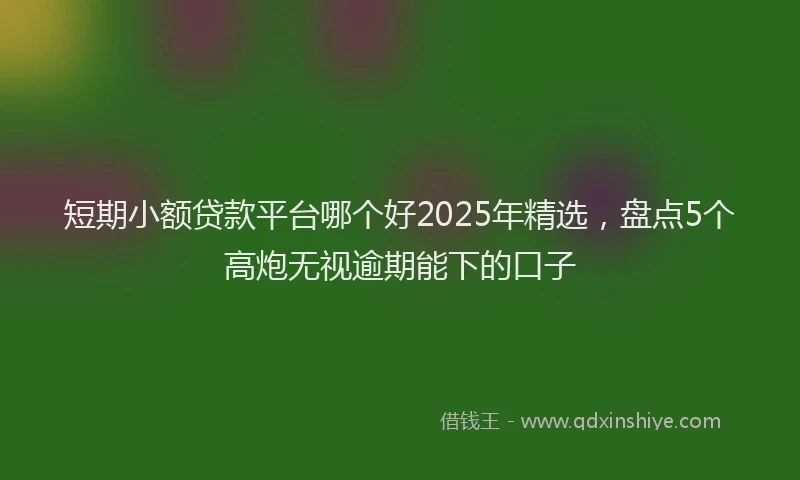 短期小额贷款平台哪个好2025年精选，盘点5个高炮无视逾期能下的口子