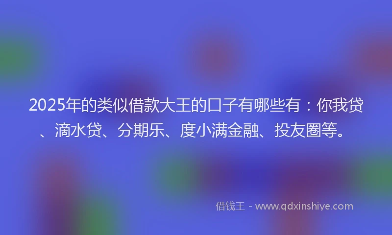 2025年的类似借款大王的口子有哪些有：你我贷、滴水贷、分期乐、度小满金融、投友圈等。